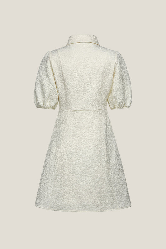 Lapel Collar Half Sleeve Dress