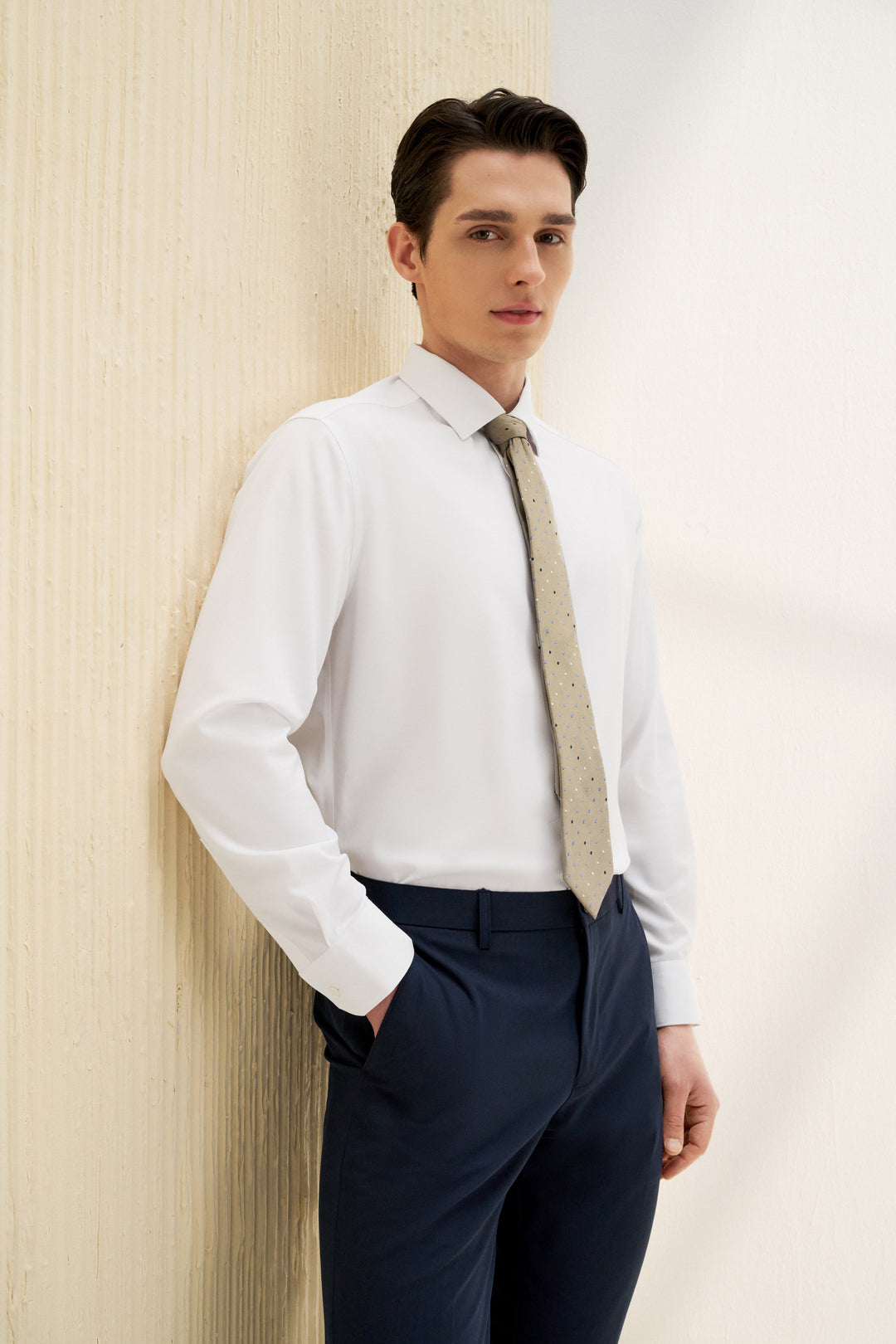 Non-Iron Smooth 長袖商務恤衫