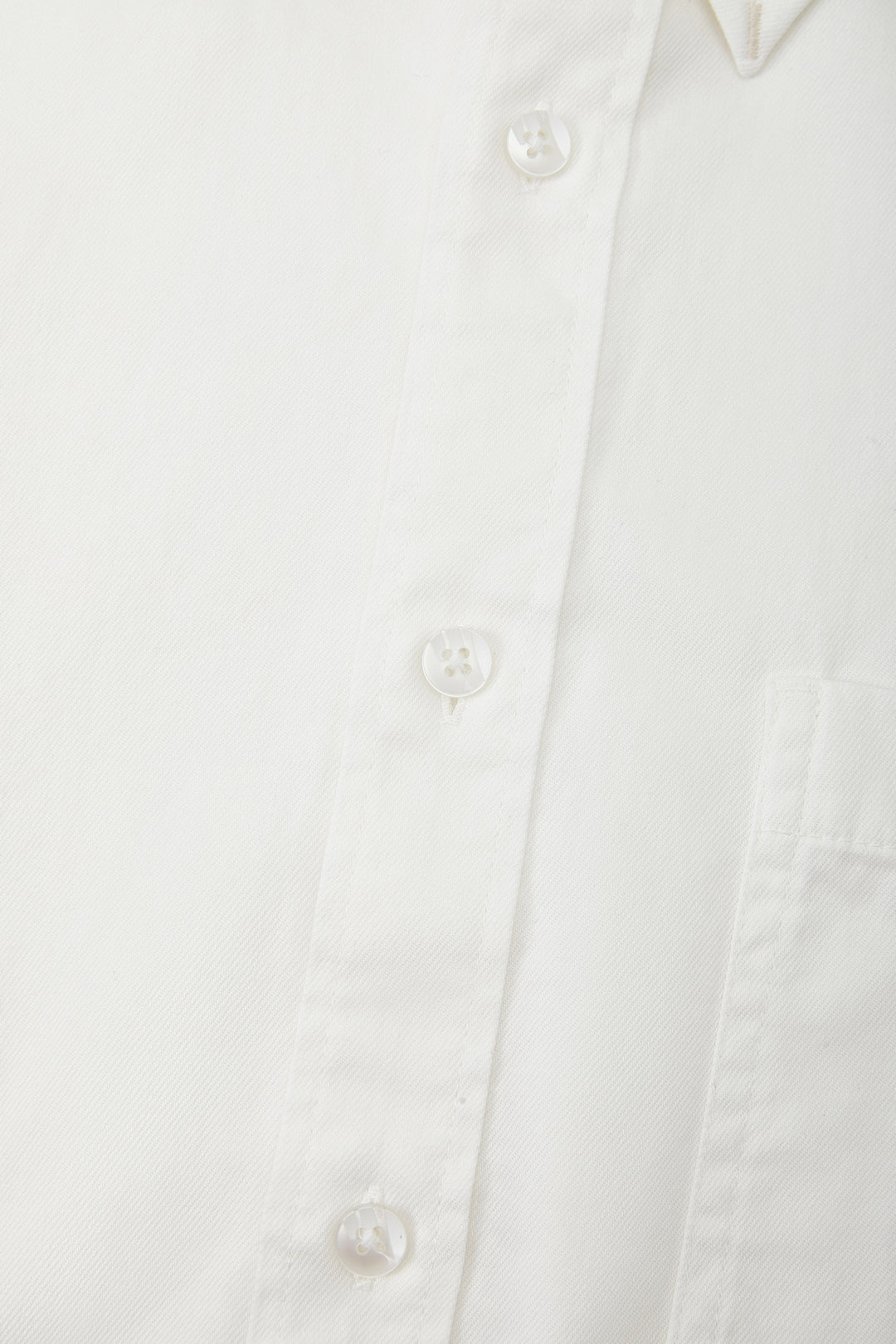 Pure Cotton 長袖休閒恤衫