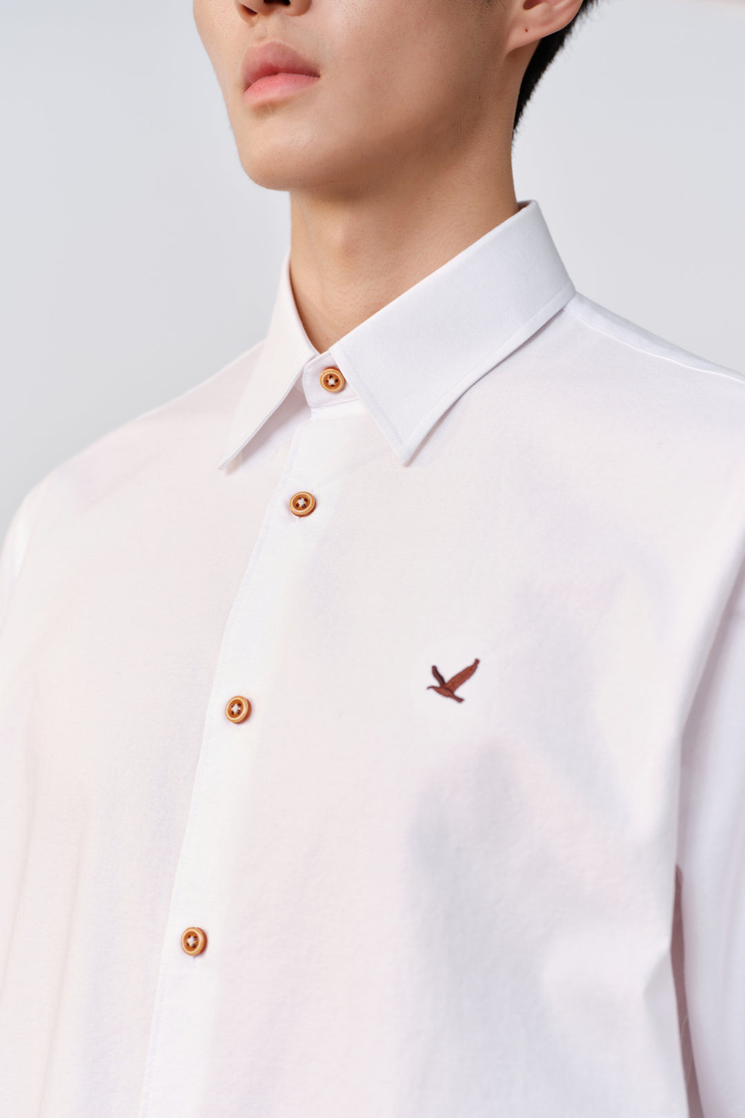 100% Cotton Long-Sleeve Casual Shirt