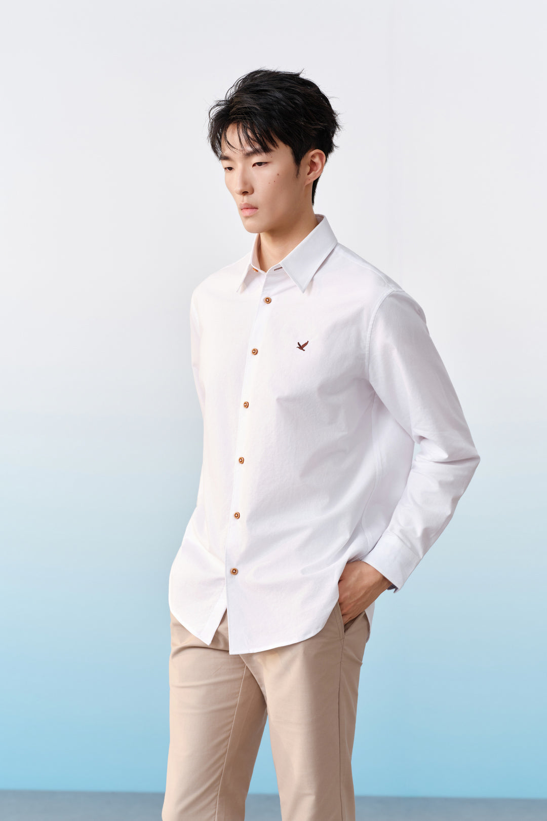 100% Cotton Long-Sleeve Casual Shirt