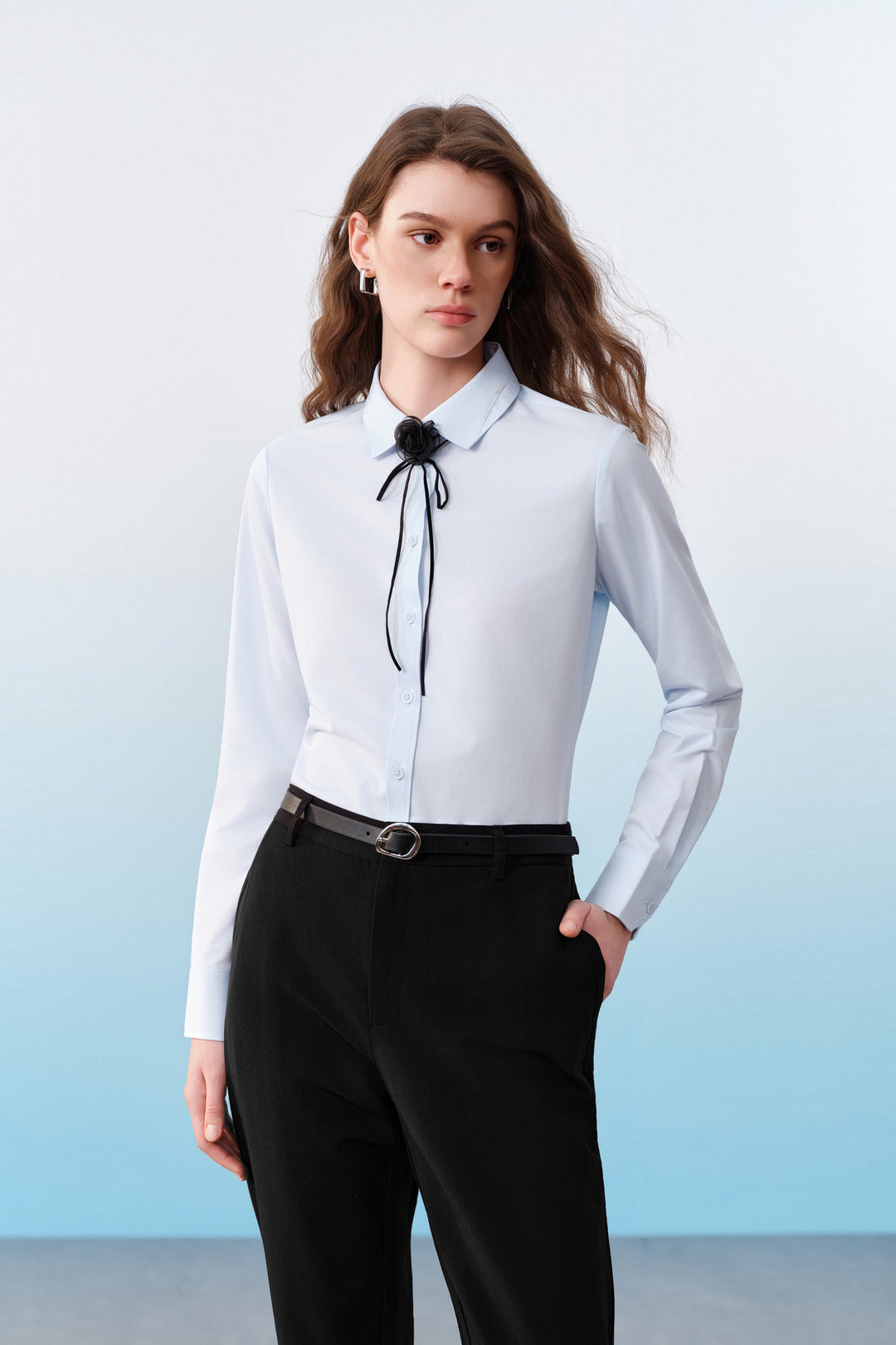 Non-Iron | Shirt Collar Long-Sleeve Dress Shirt