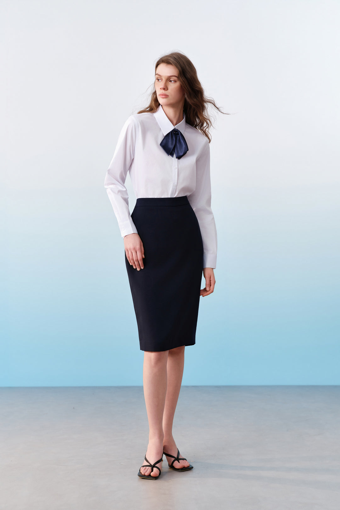 Easy Ironing | Shirt Collar Long-Sleeve Dress Shirt