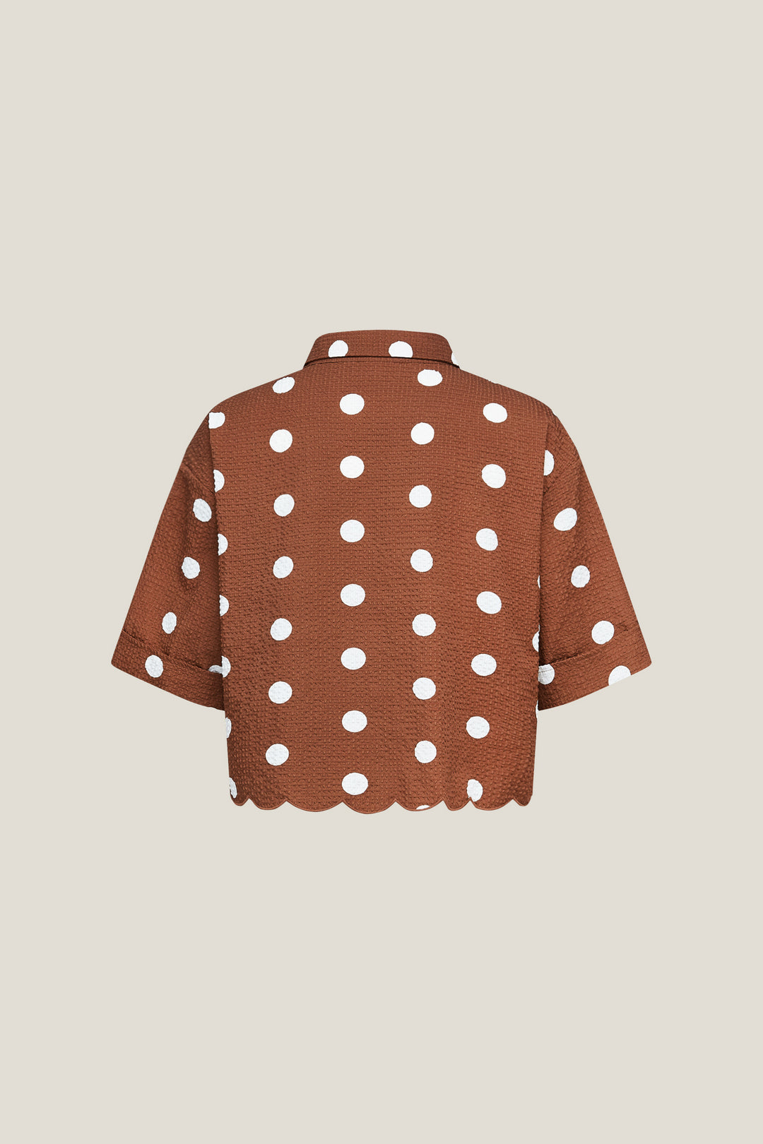 Shirt Collar 恤衫領襯衫