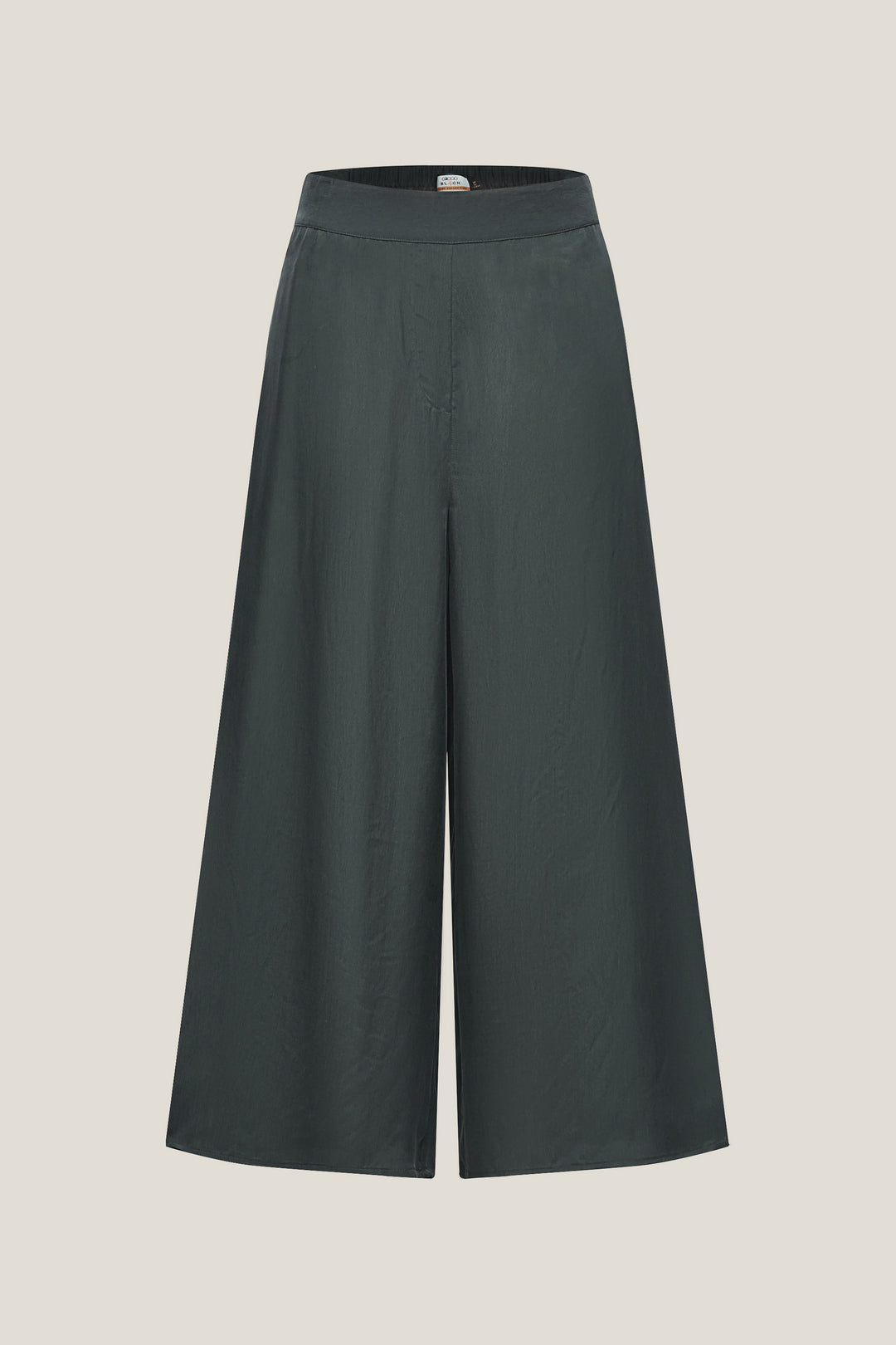 BLAACK LUXURY-luxury-japan-fabric-hip-hanger-casual-pants-61967070-Green