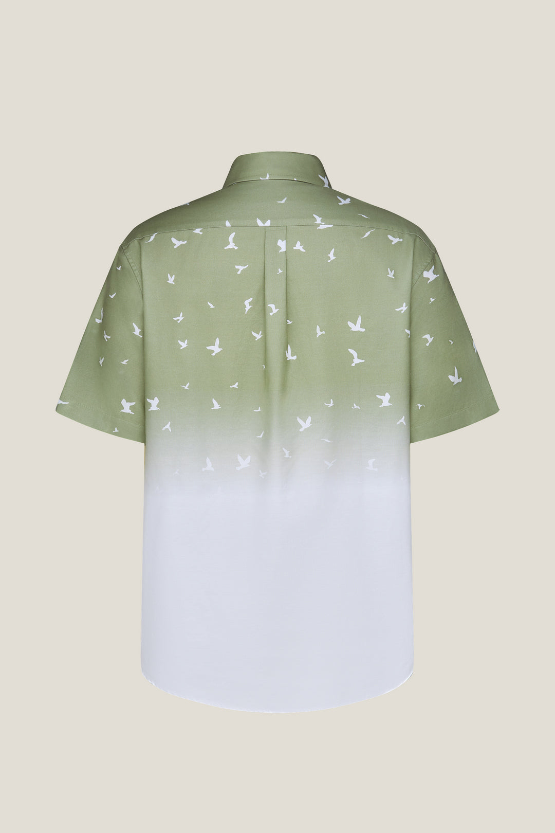 Non-Iron 短袖休閒恤衫