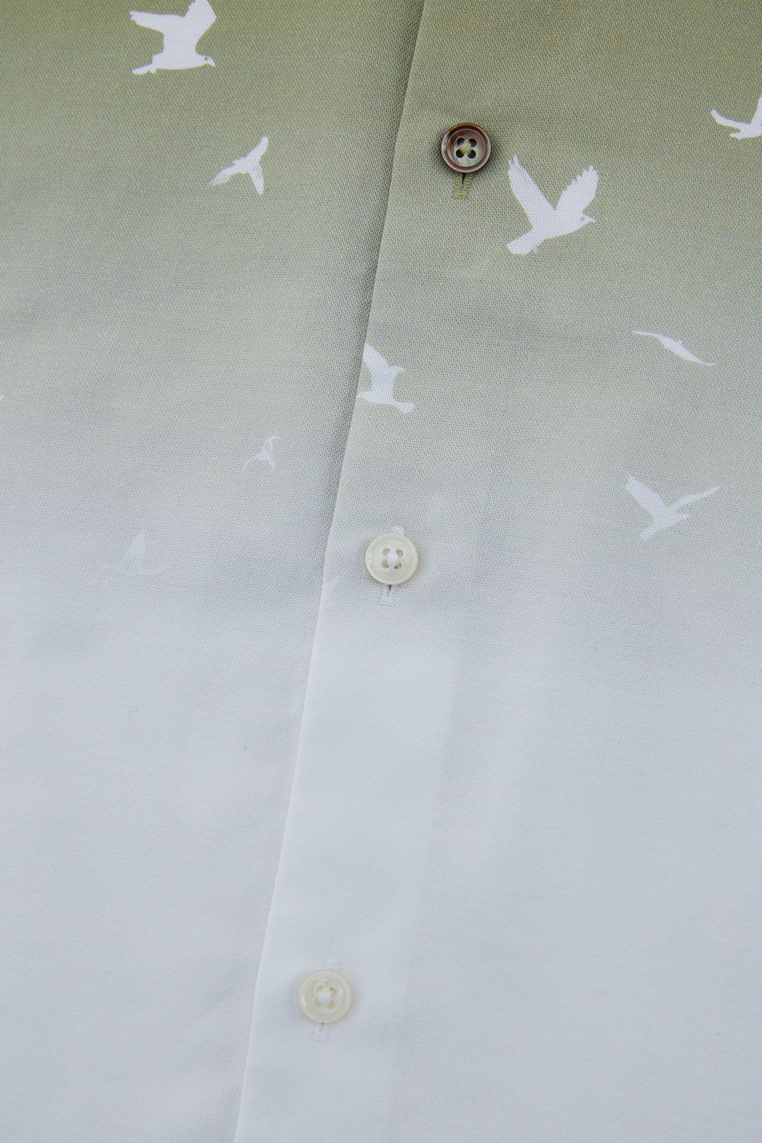 Non-Iron 短袖休閒恤衫