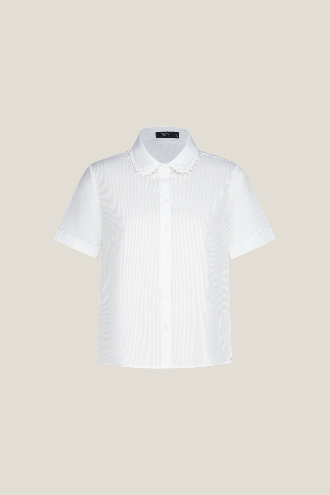Shirt Collar 恤衫領襯衫