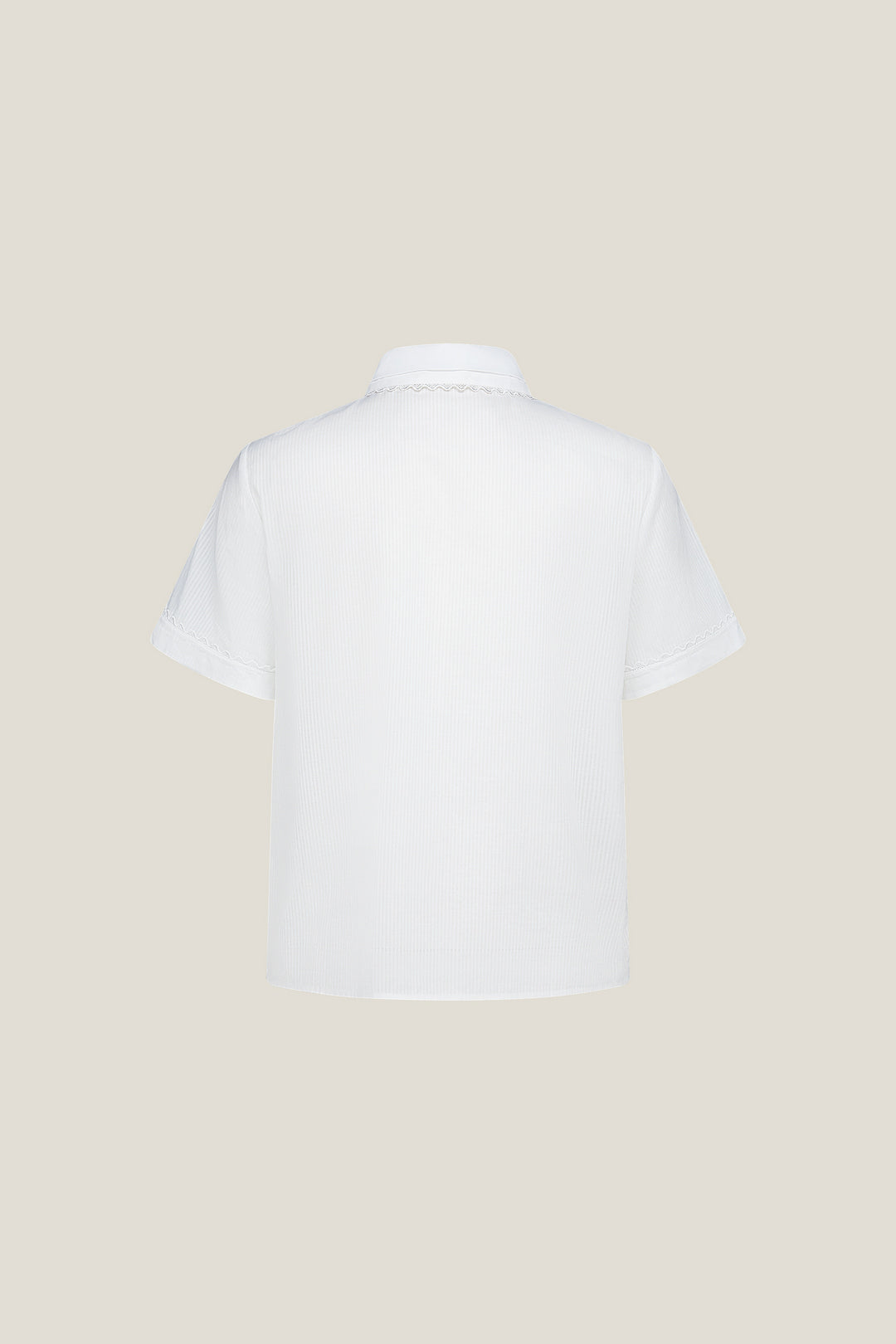 Shirt Collar 恤衫領襯衫