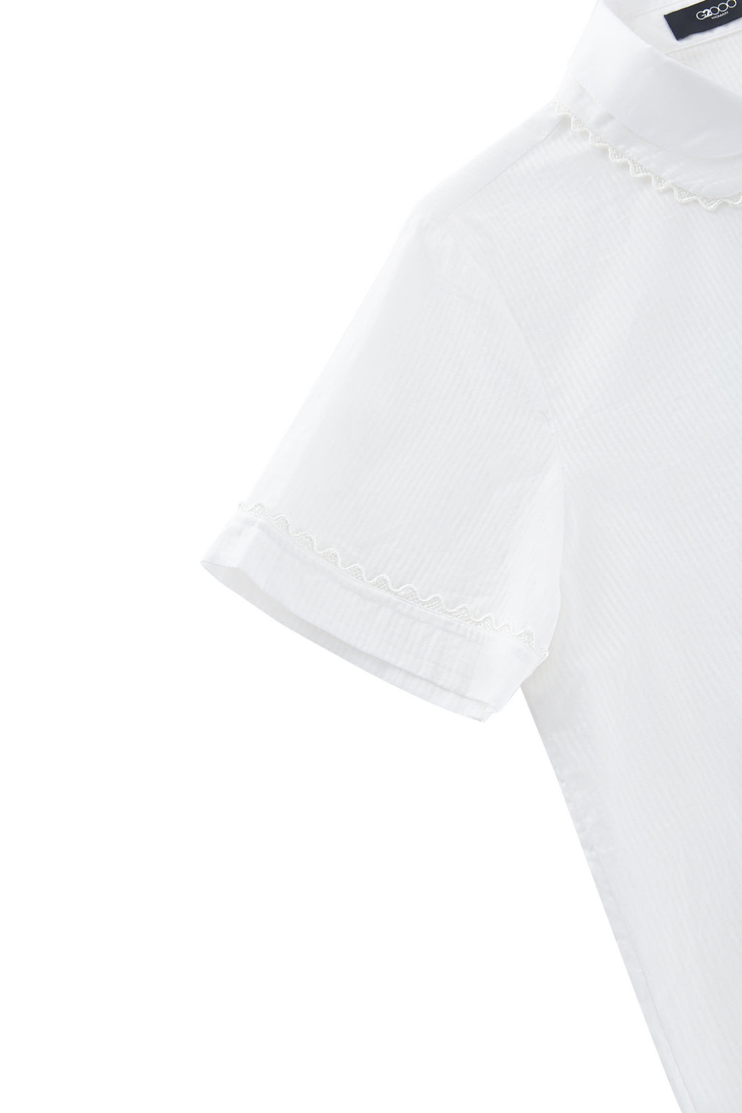 Shirt Collar 恤衫領襯衫