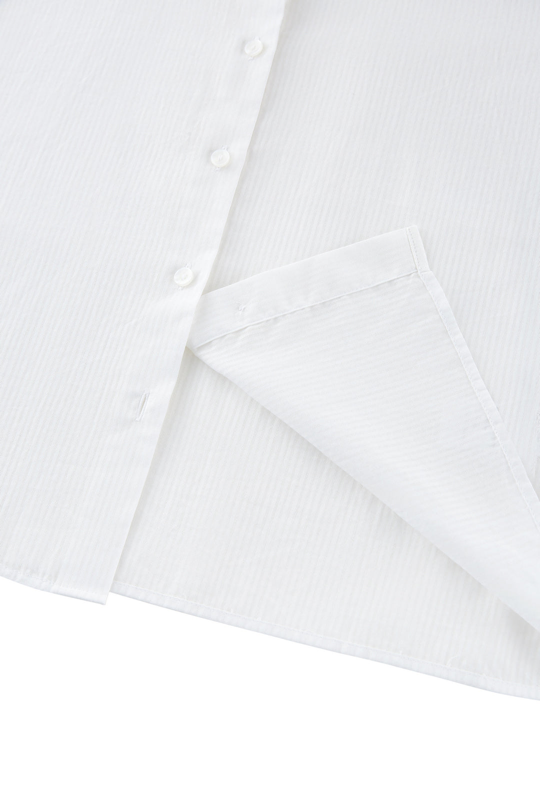 Shirt Collar 恤衫領襯衫