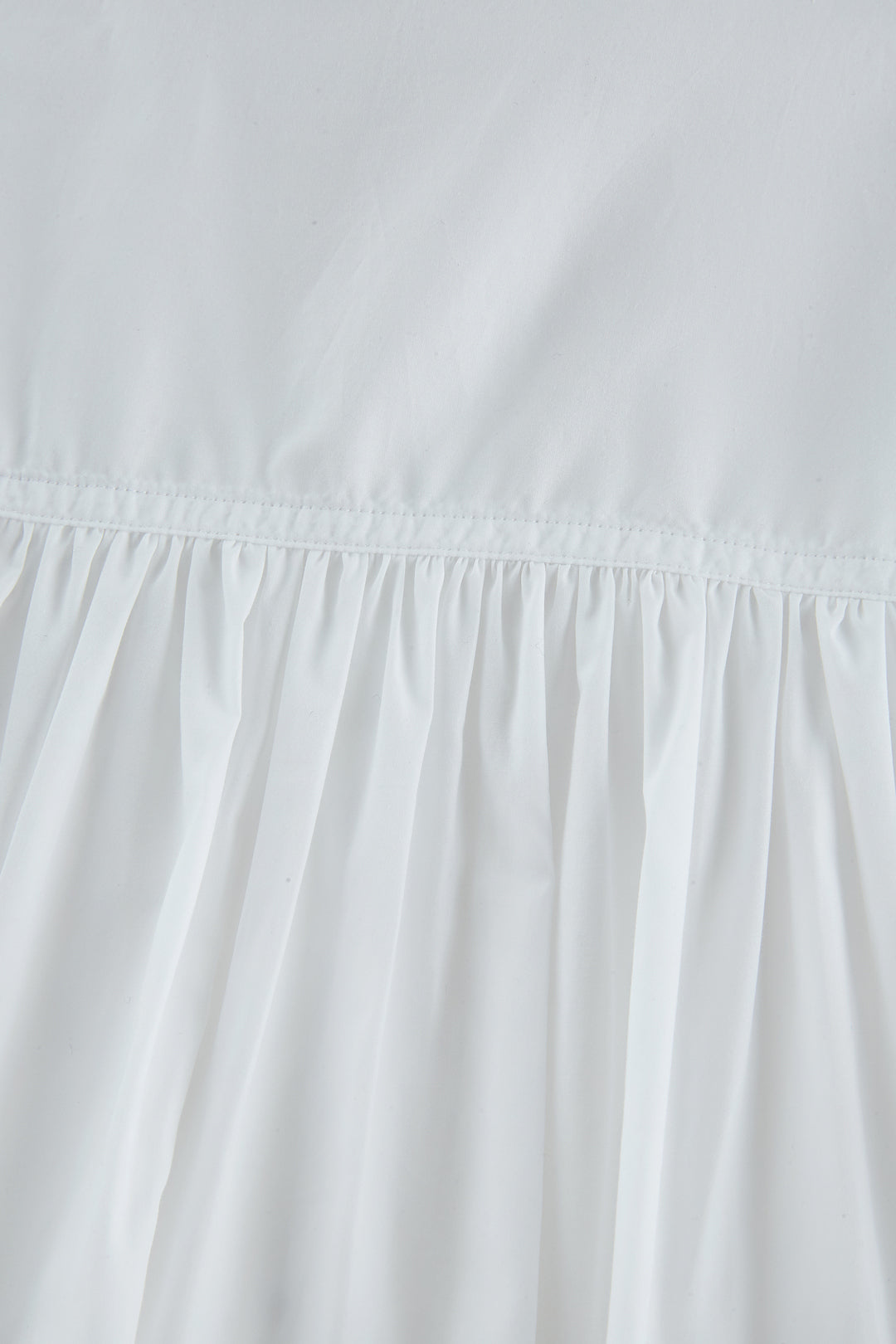 Shirt Collar 恤衫領襯衫