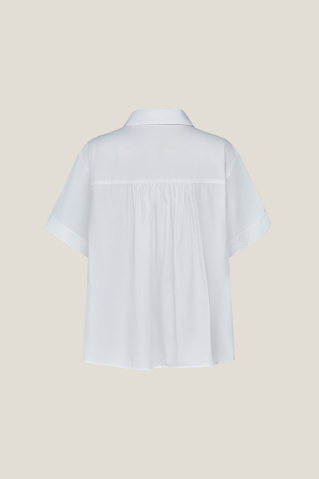 Shirt Collar 恤衫領襯衫