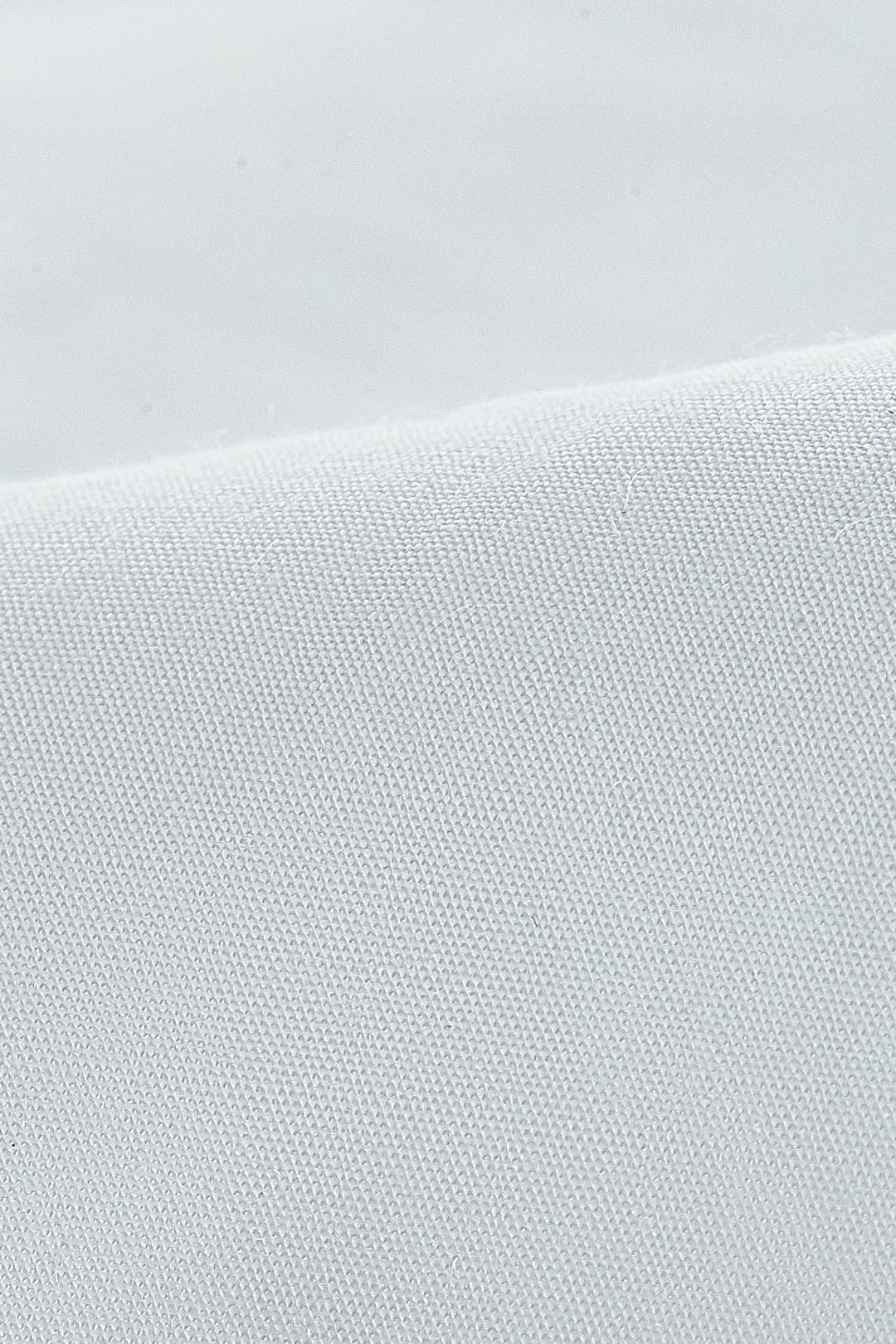 Shirt Collar 恤衫領襯衫