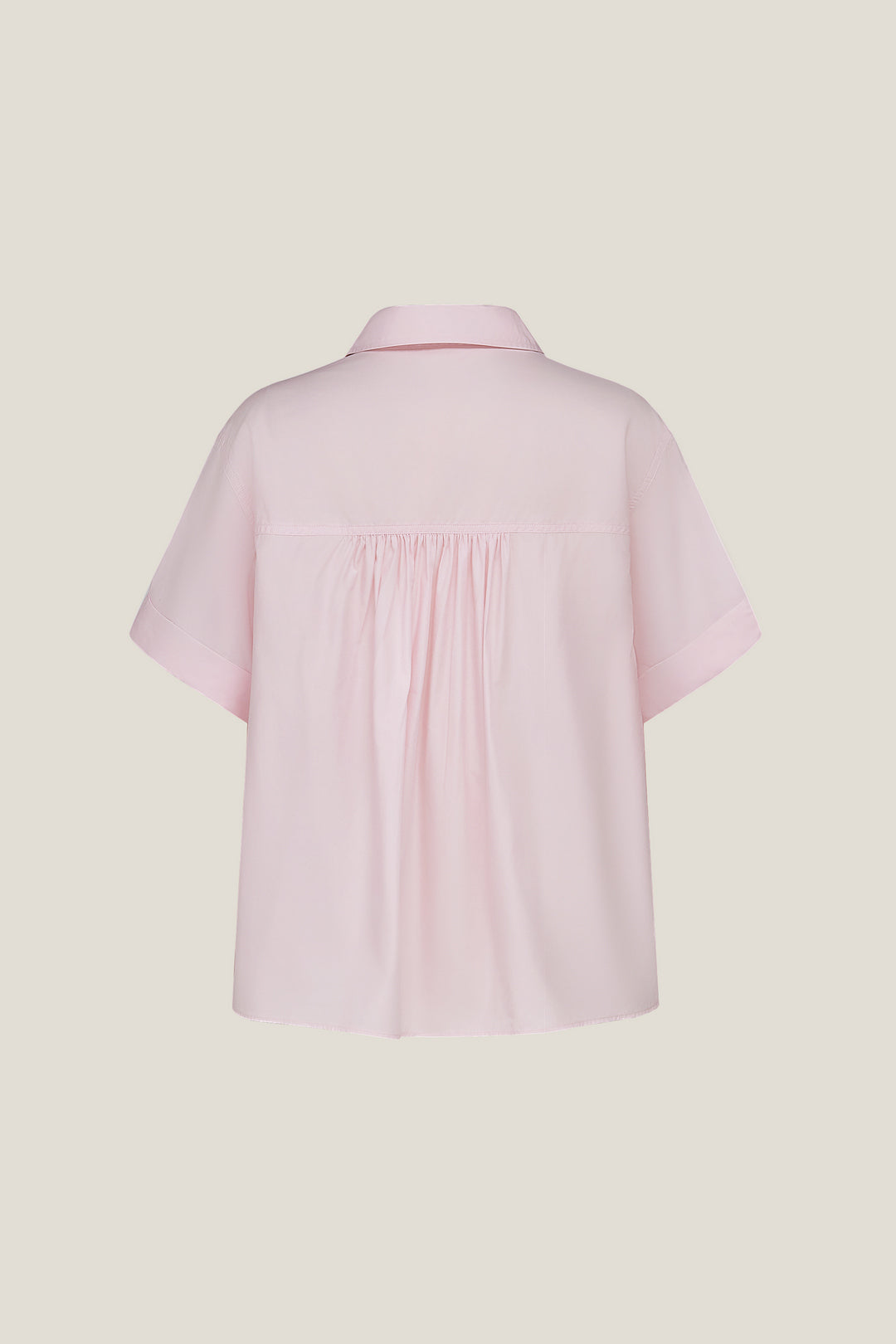 Shirt Collar 恤衫領襯衫