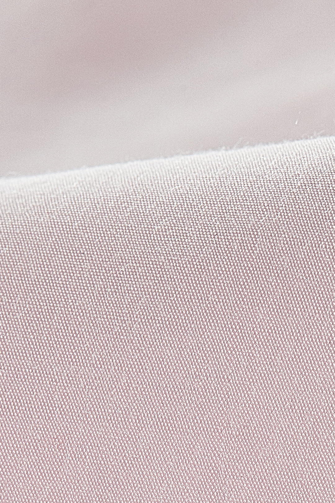 Shirt Collar 恤衫領襯衫
